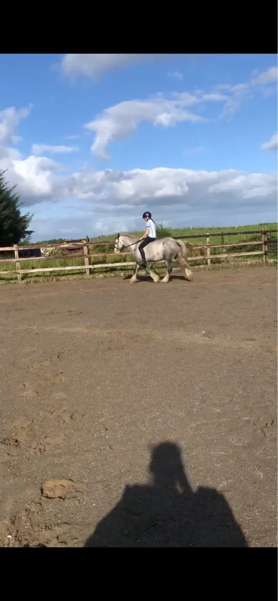 Dream Beginner Pony - Image 3