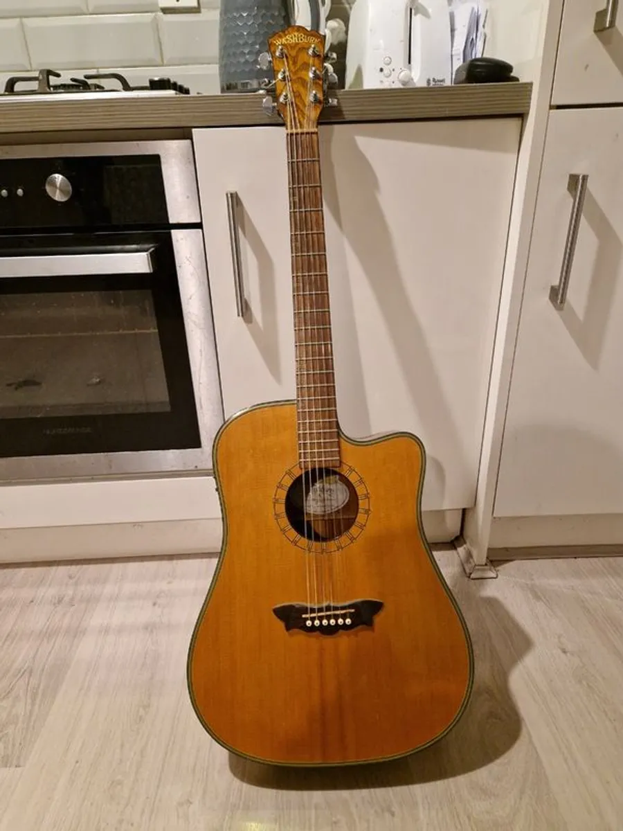 Washburn Acoustic guitar with Hiscox hardcase - Image 1