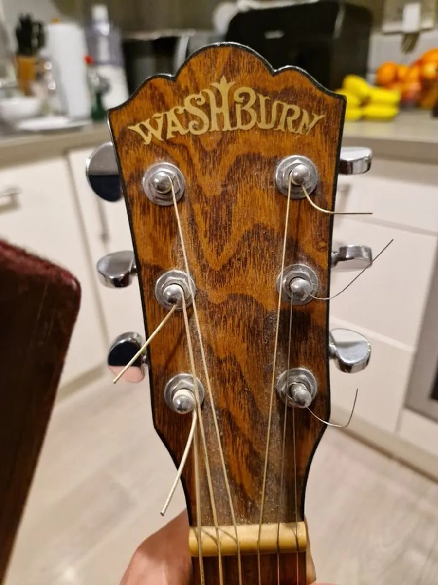 Washburn Acoustic guitar with Hiscox hardcase - Image 3