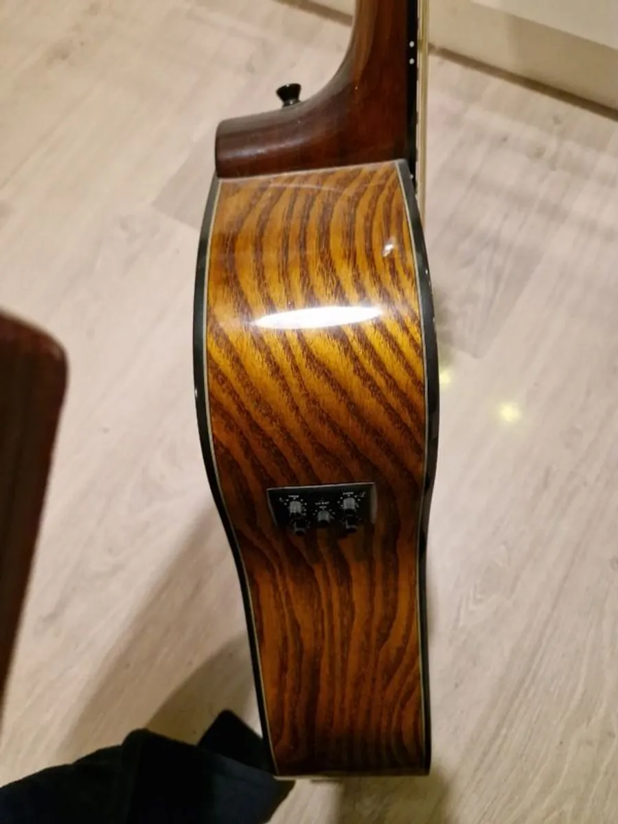 Washburn Acoustic guitar with Hiscox hardcase - Image 4