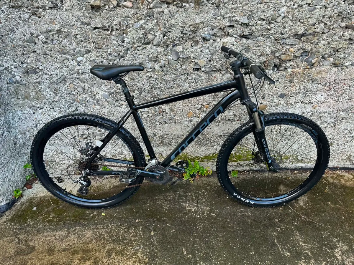 Carrera Mountain Bike - Image 2