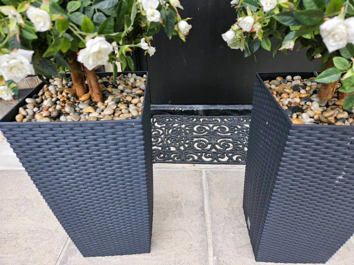 Artificial rose trees pair cement bases won't blow - Image 1