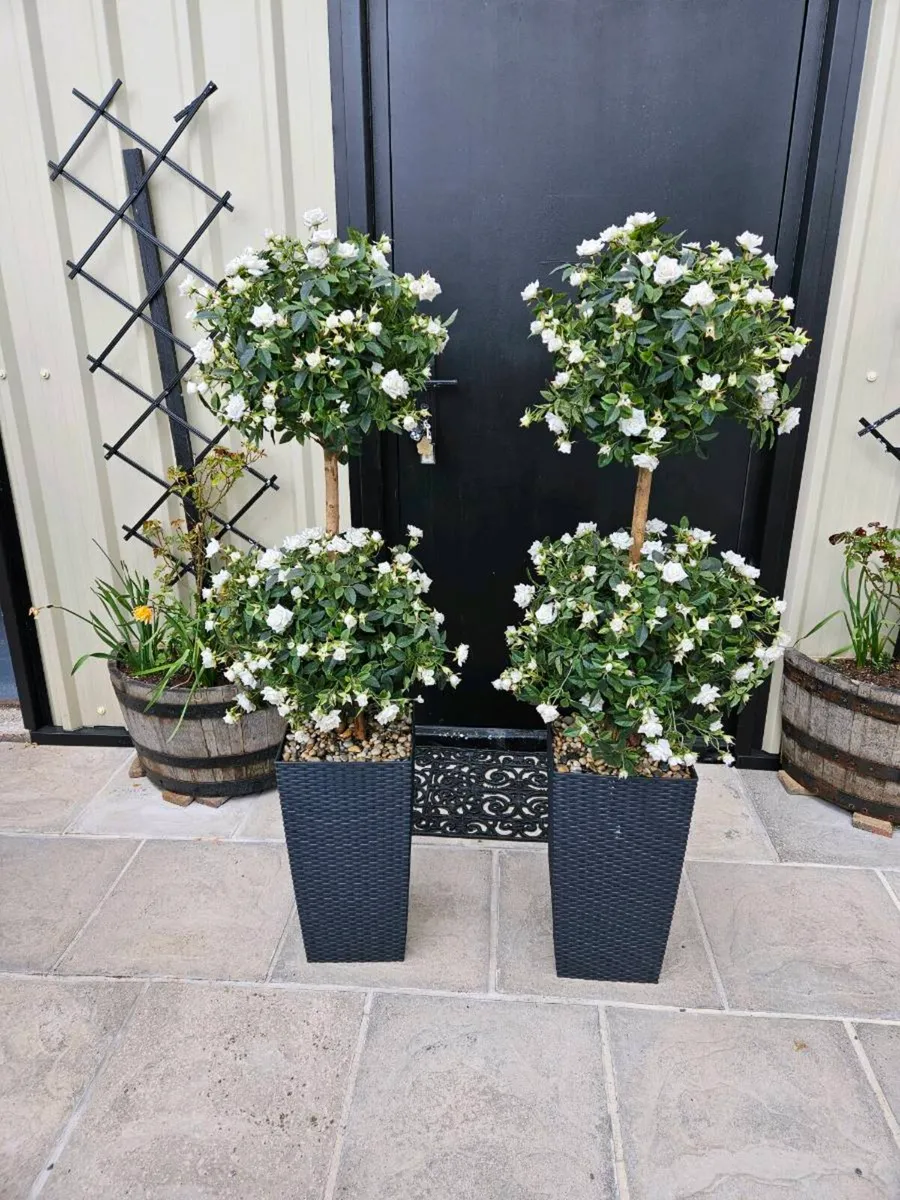 Artificial rose trees pair cement bases won't blow - Image 2
