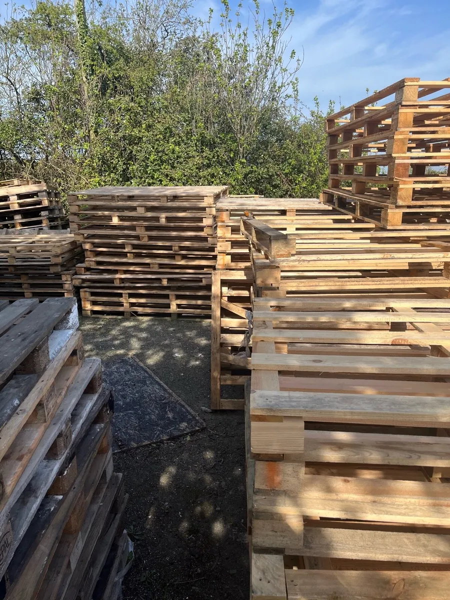 Wooden pallets FREE - Image 2