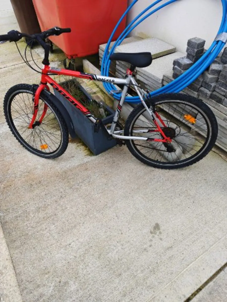 Bikes - Image 3