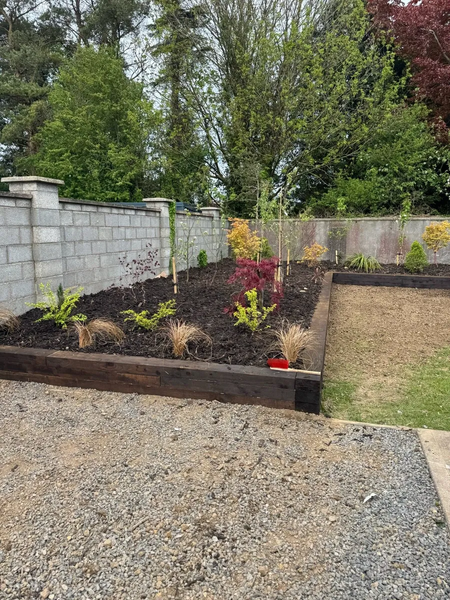 Raised bed mini digger hire - Image 1