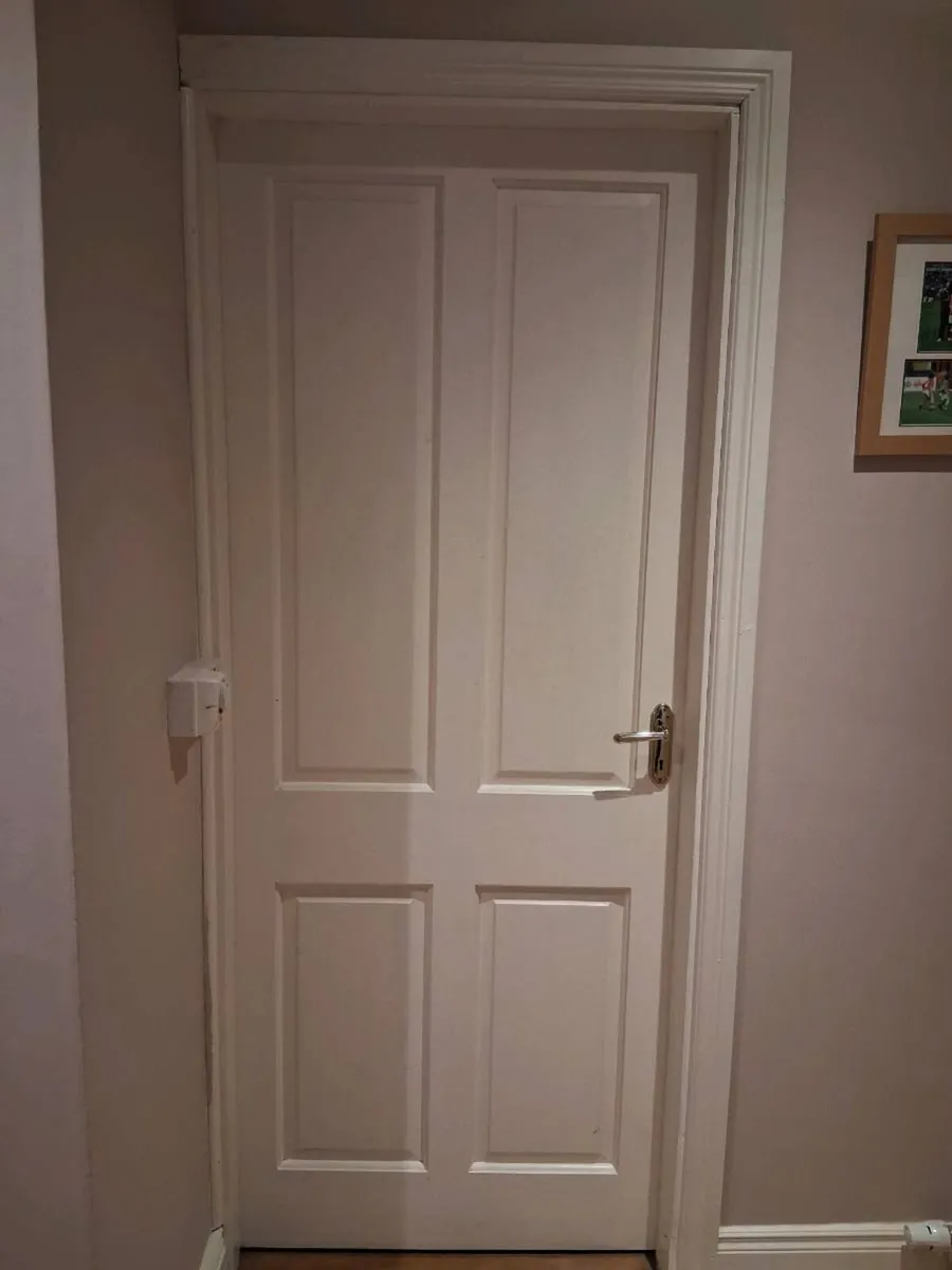 Painted Pine Doors - Image 2