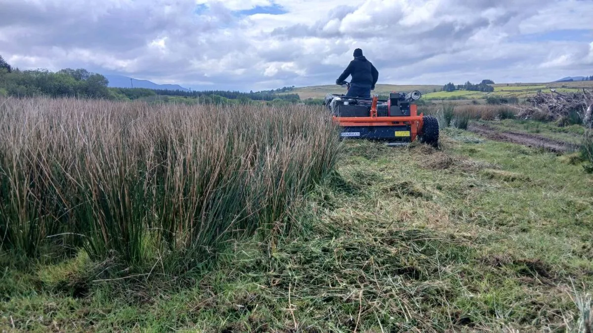 Quad & Flail Mower services - Image 3