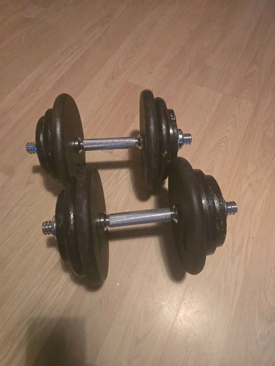 Dumbbells 2×20kg - Image 1
