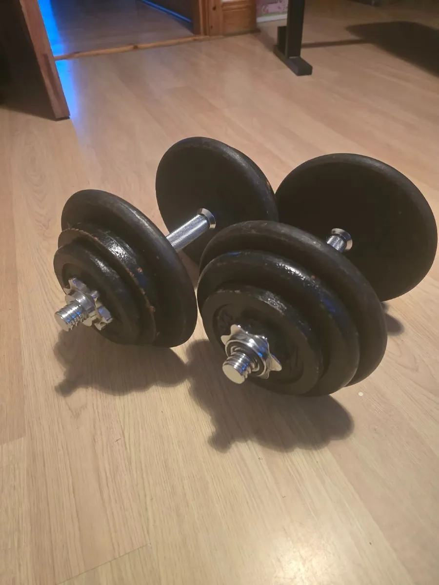 Dumbbells 2×20kg - Image 2