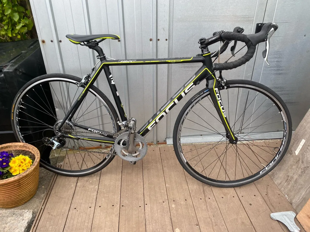 Focus Culebro Road Bike Carbon Fork - Image 2