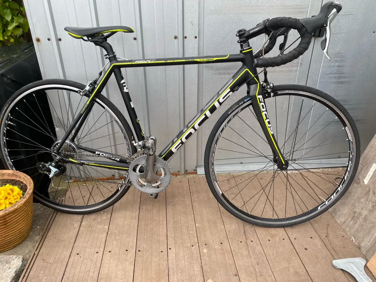 Focus Culebro Road Bike Carbon Fork - Image 4