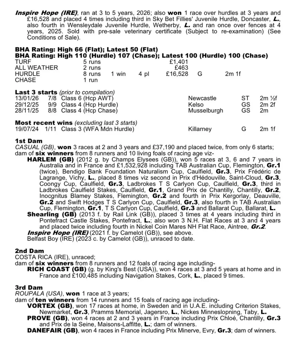 5yo Blacktype National Hunt filly 16.1hh - Image 3
