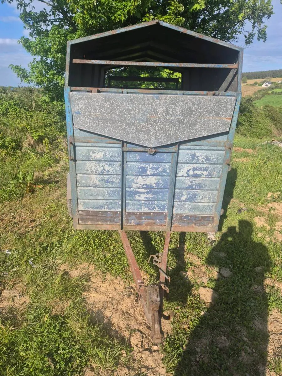 8 x 4 cattle trailer - Image 2