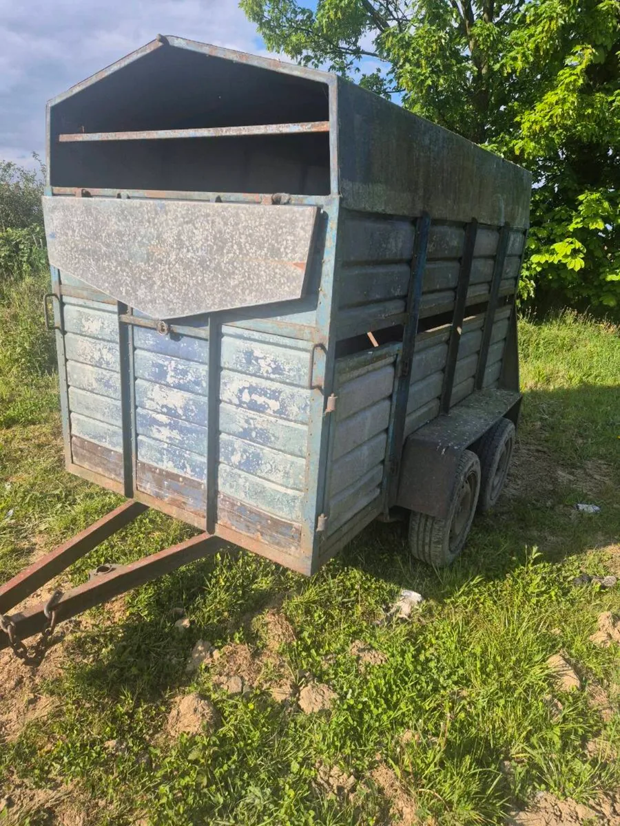 8 x 4 cattle trailer - Image 3