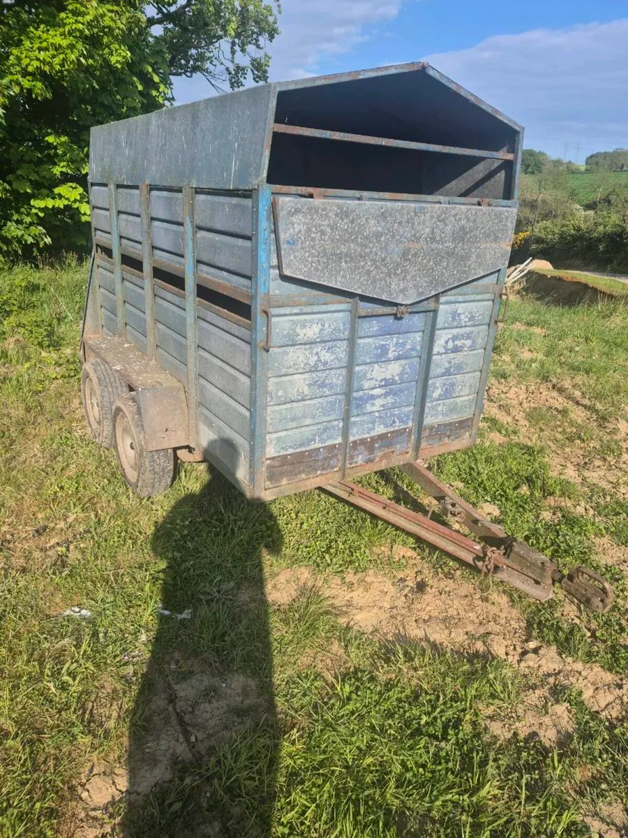 8 x 4 cattle trailer - Image 1