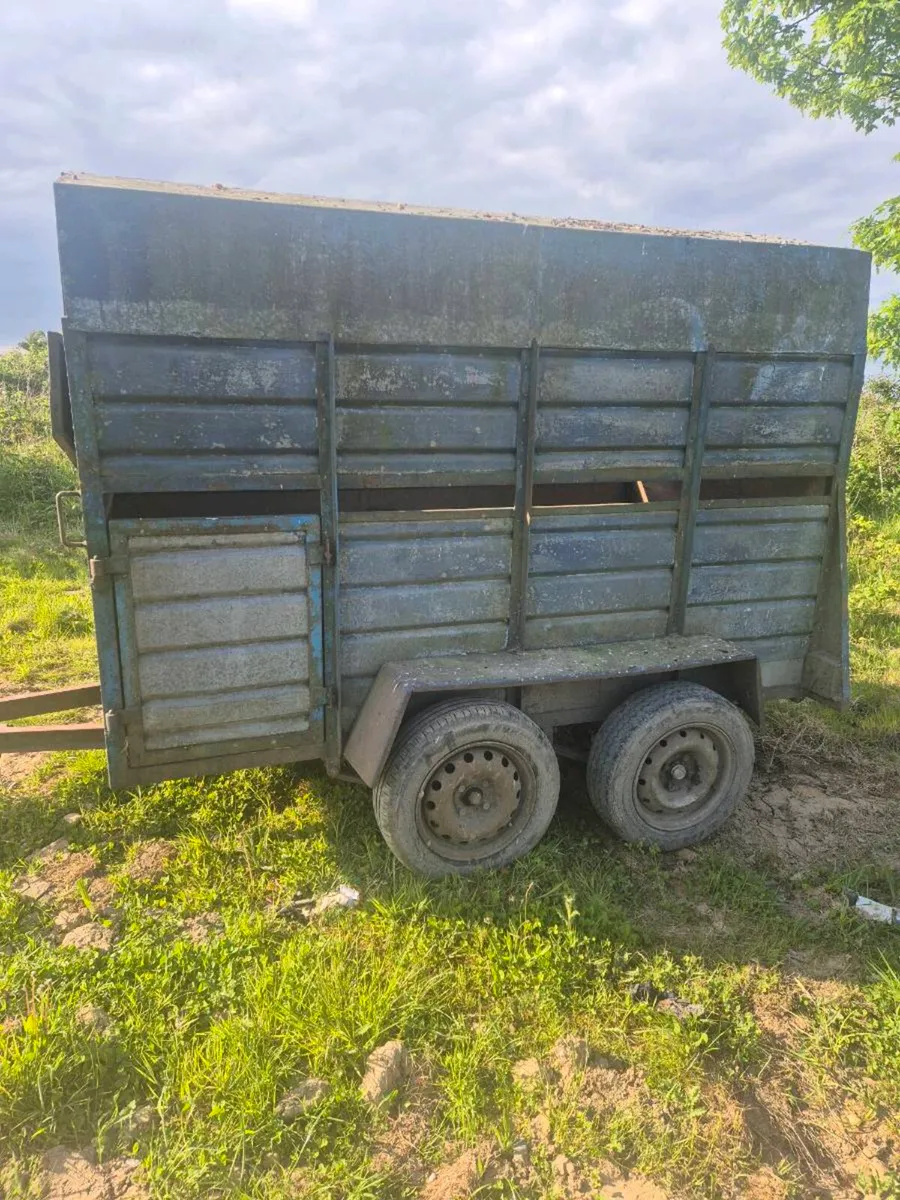 8 x 4 cattle trailer - Image 4