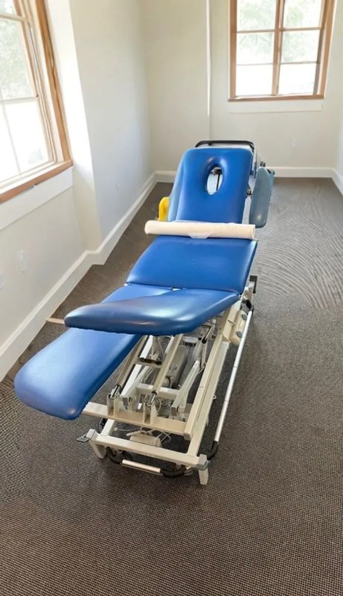 therapy chair and more - Image 1