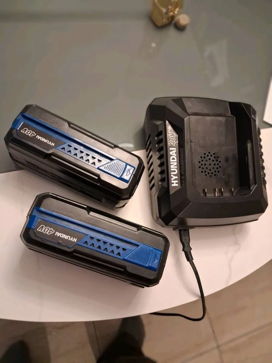 Set of two Hyundai 40v batteries and charger - Image 1