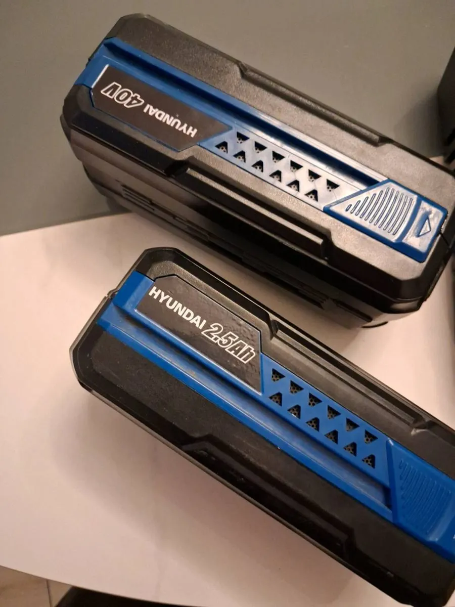 Set of two Hyundai 40v batteries and charger - Image 2