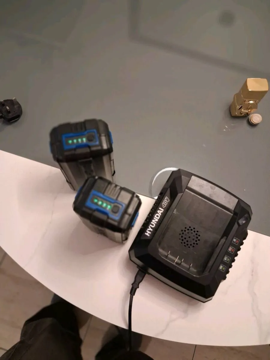 Set of two Hyundai 40v batteries and charger - Image 3