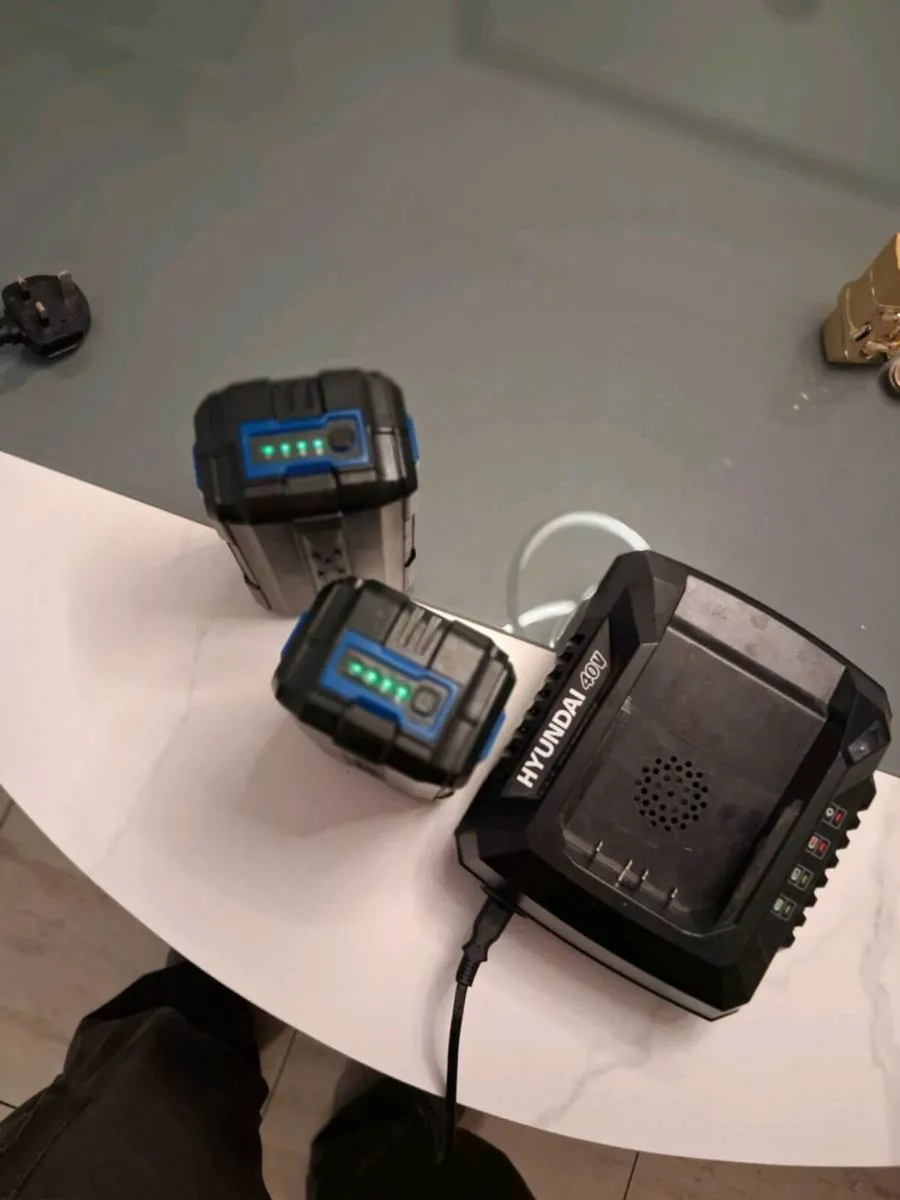 Set of two Hyundai 40v batteries and charger - Image 4