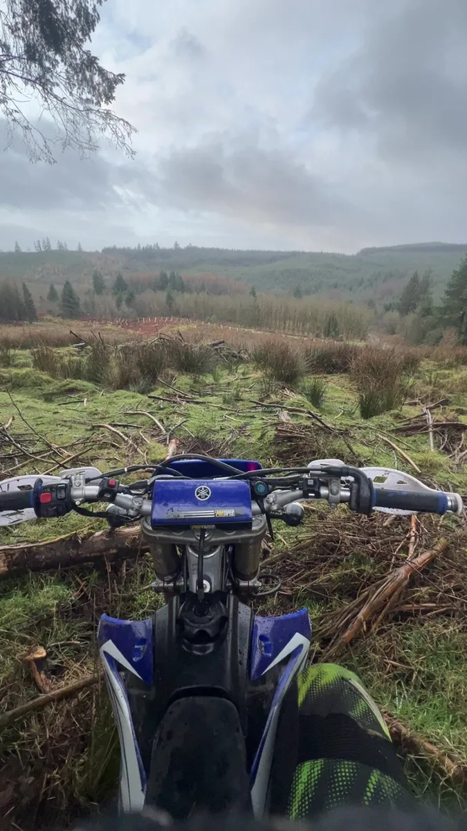 Wr 450f - Image 3
