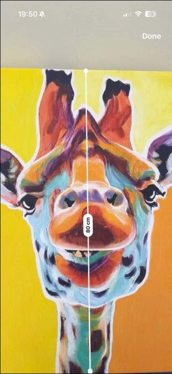 Canvas - Image 3