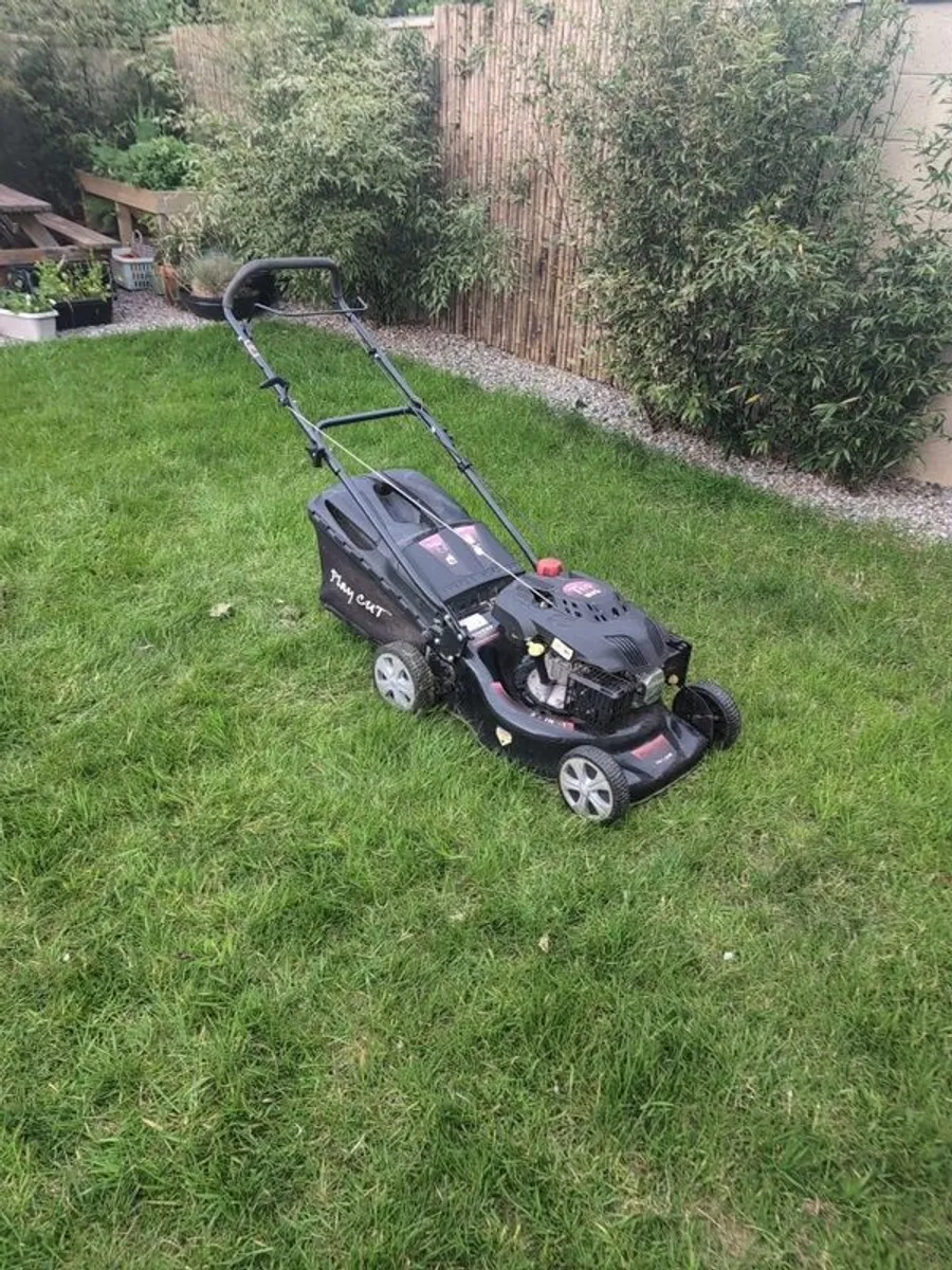 lawnmower - Image 1
