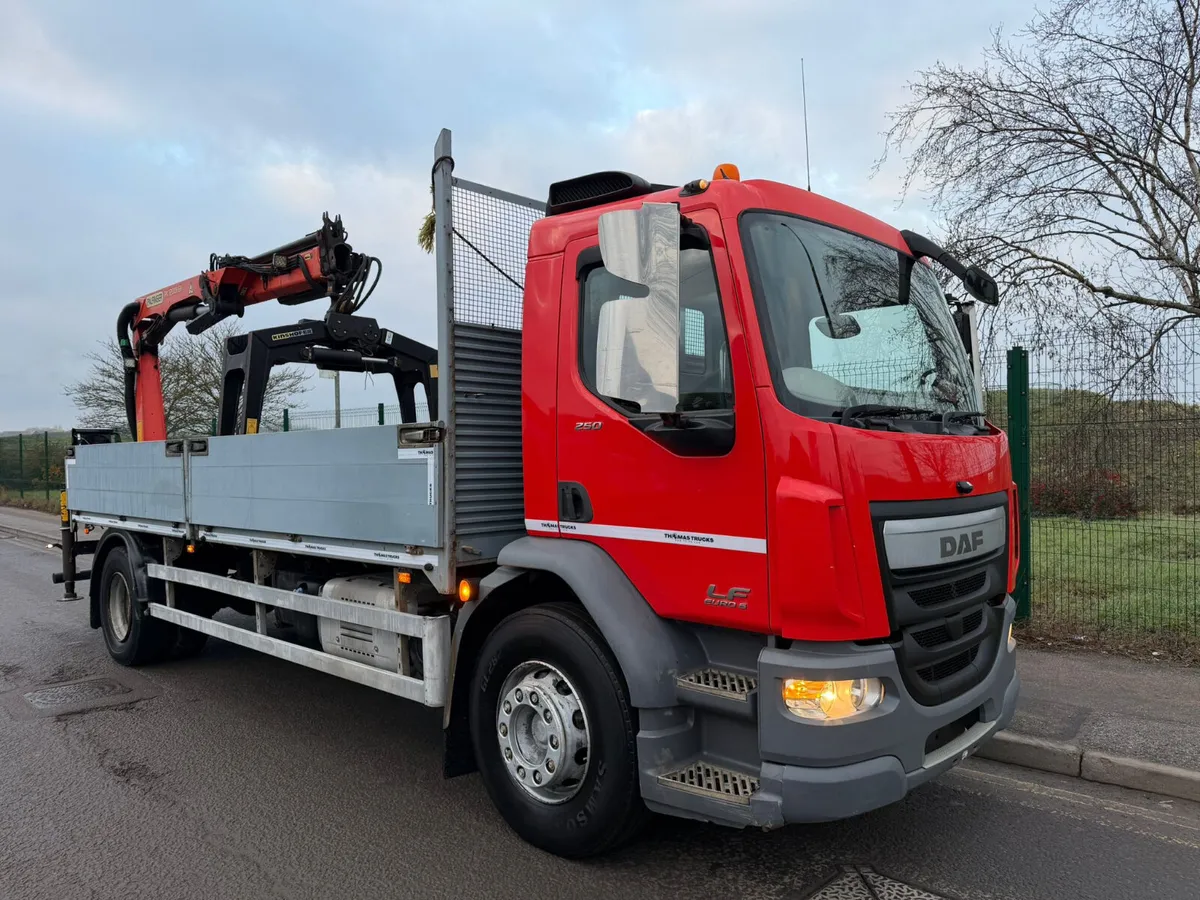2015 Daf LF250 Crane Lorry 12Ton Palfinger - Image 2