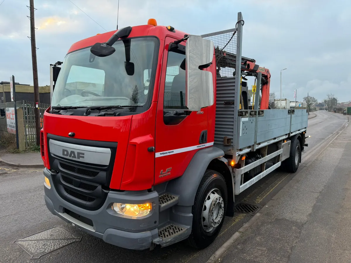 2015 Daf LF250 Crane Lorry 12Ton Palfinger - Image 1