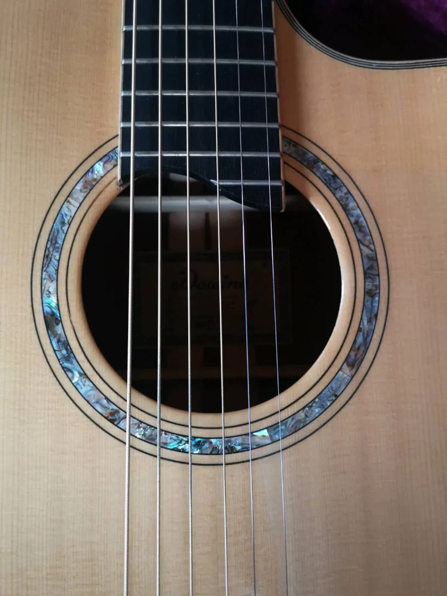 Dowina Master Series Cocobolo - Image 2