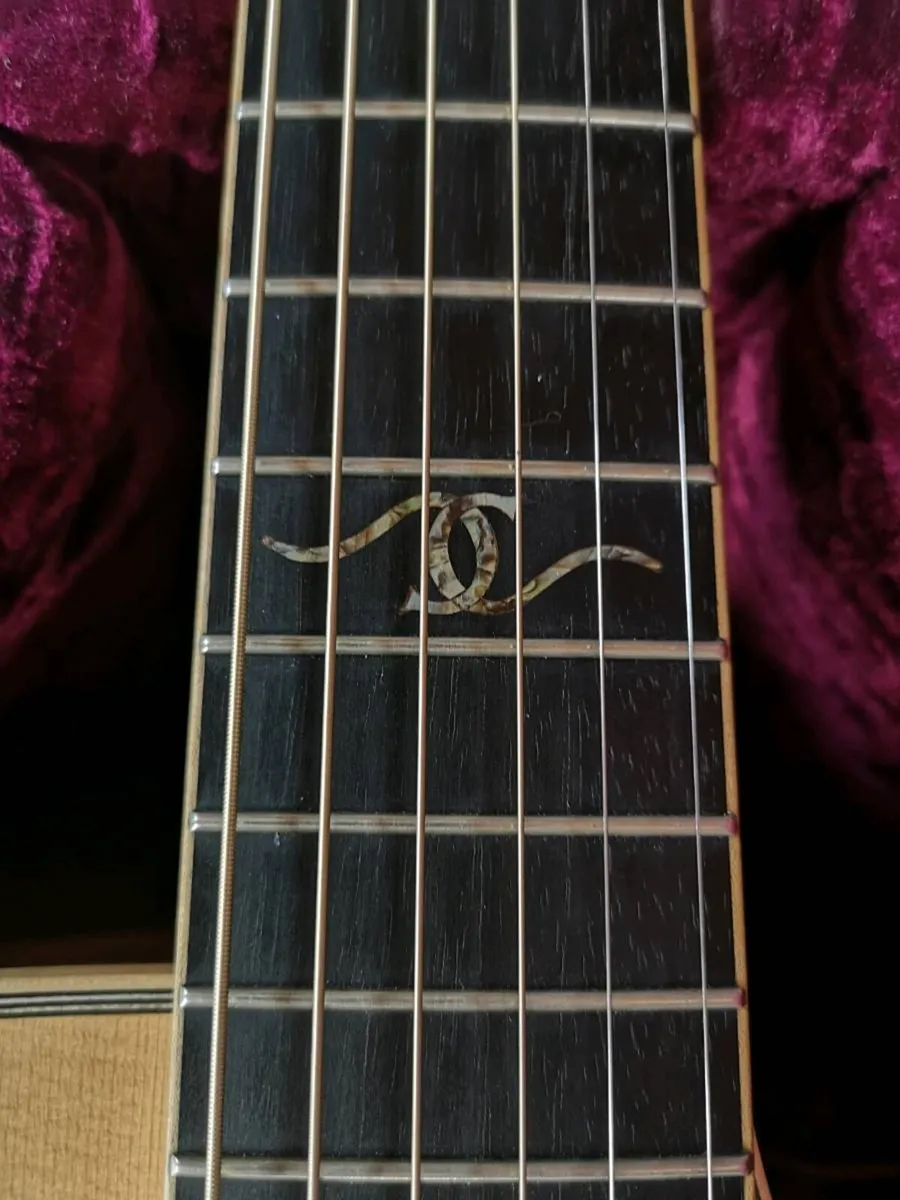 Dowina Master Series Cocobolo - Image 3