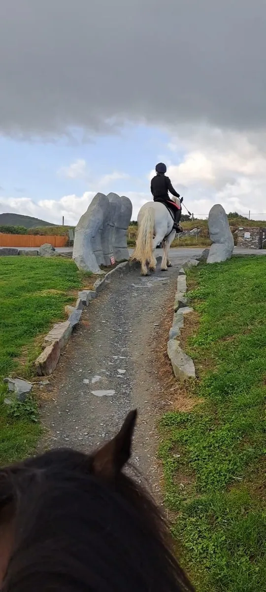 Horse - Image 4