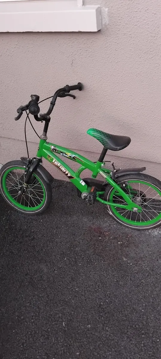 Bike-16 inch