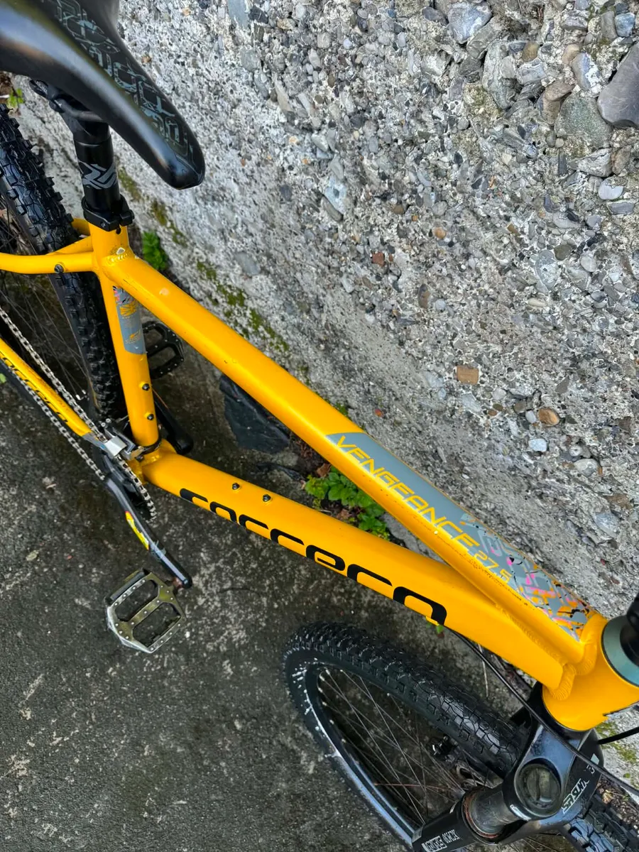 Carrera Mountain Bike - Image 3