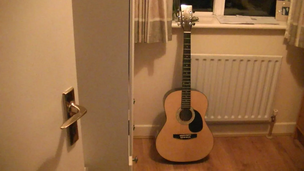 ELEVATION Acoustic Guitar - Image 1