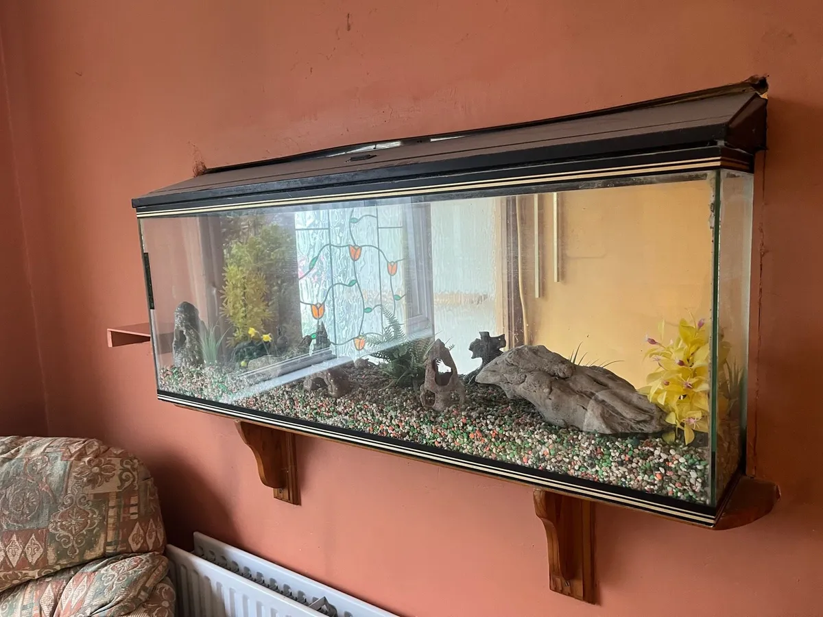 Fish tank - Image 1
