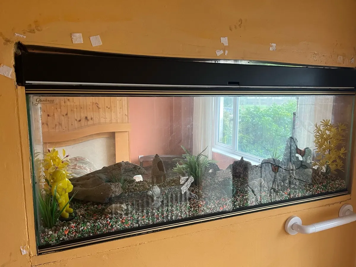 Fish tank - Image 2