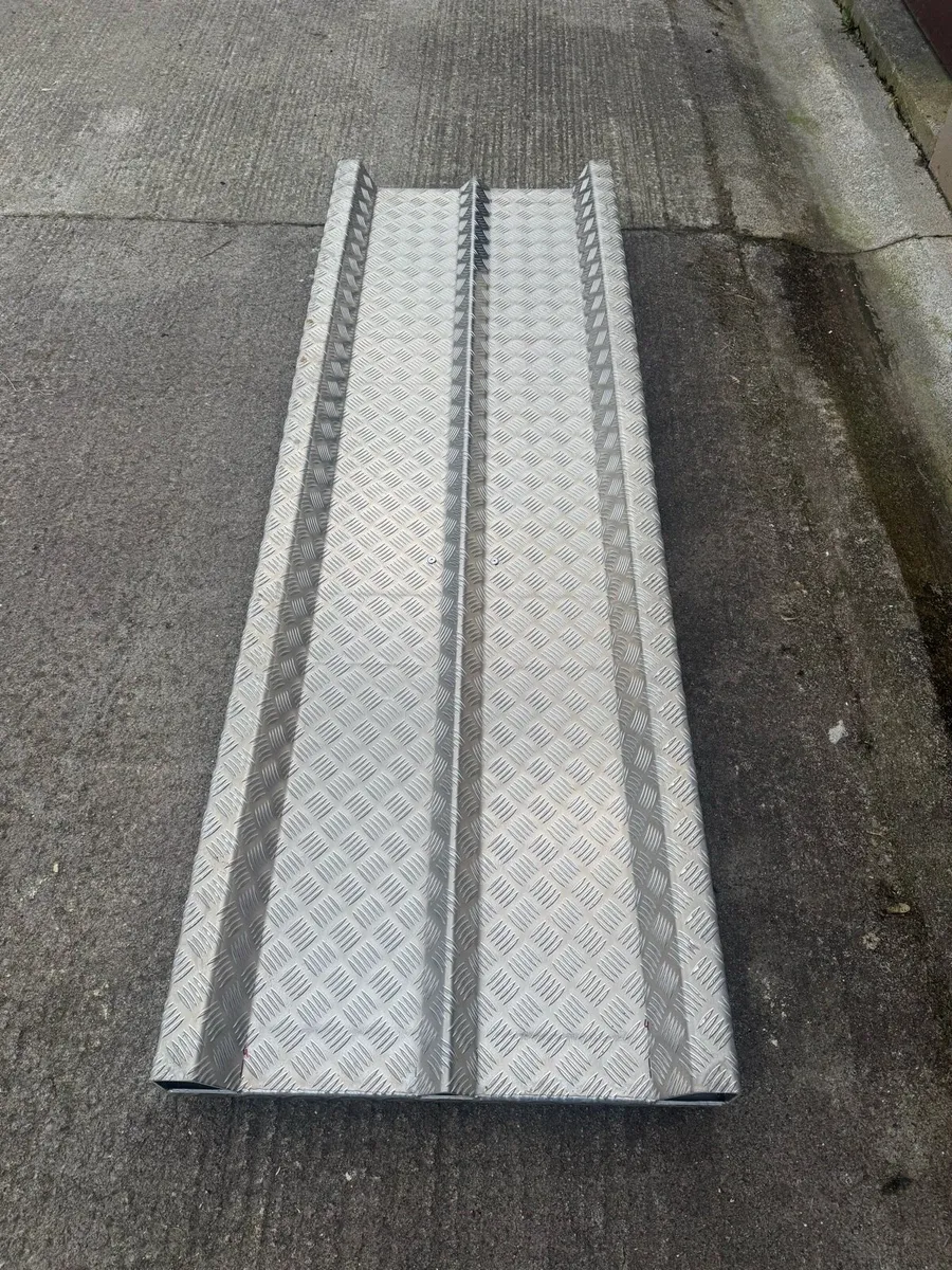 Cattle Weighing Scales - Image 4