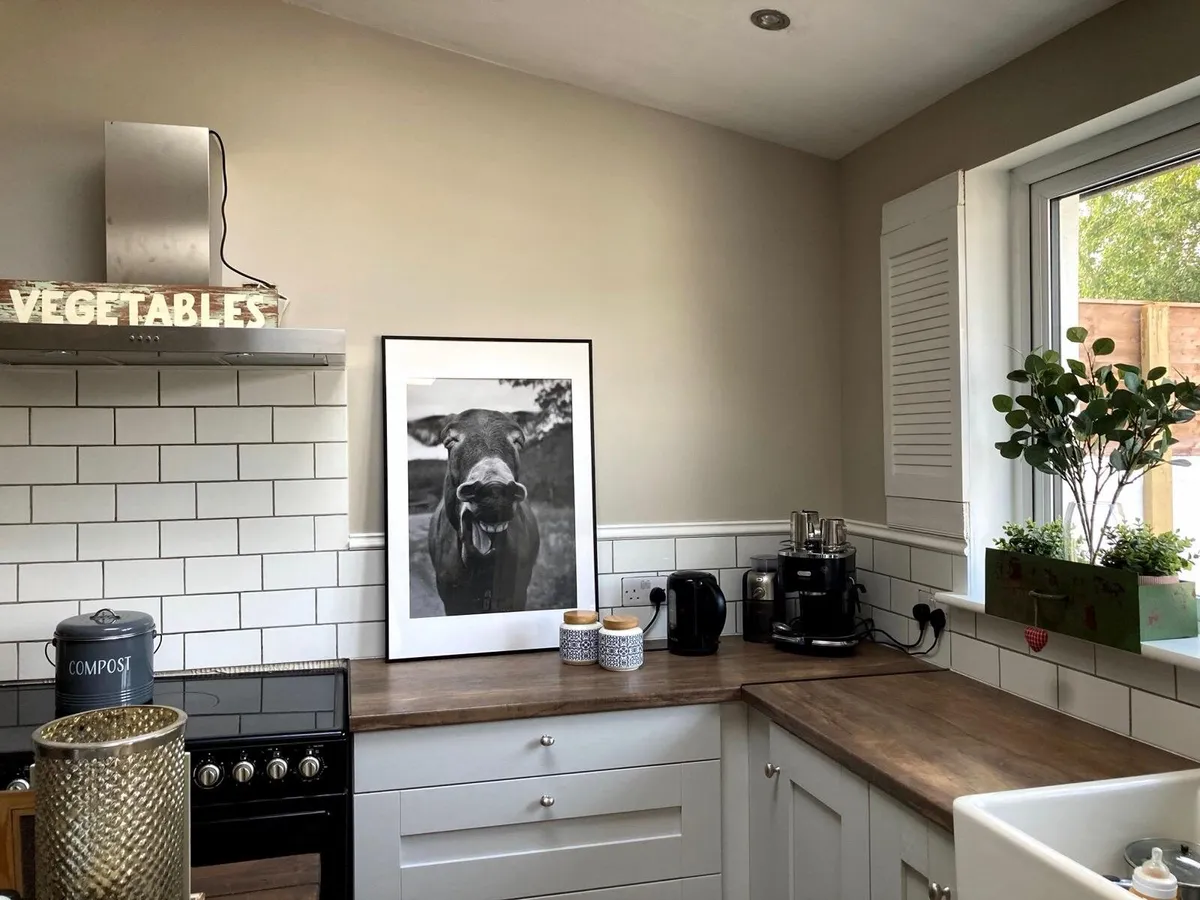 Complete Shaker-Style Kitchen (Disassembled) – Gre - Image 4