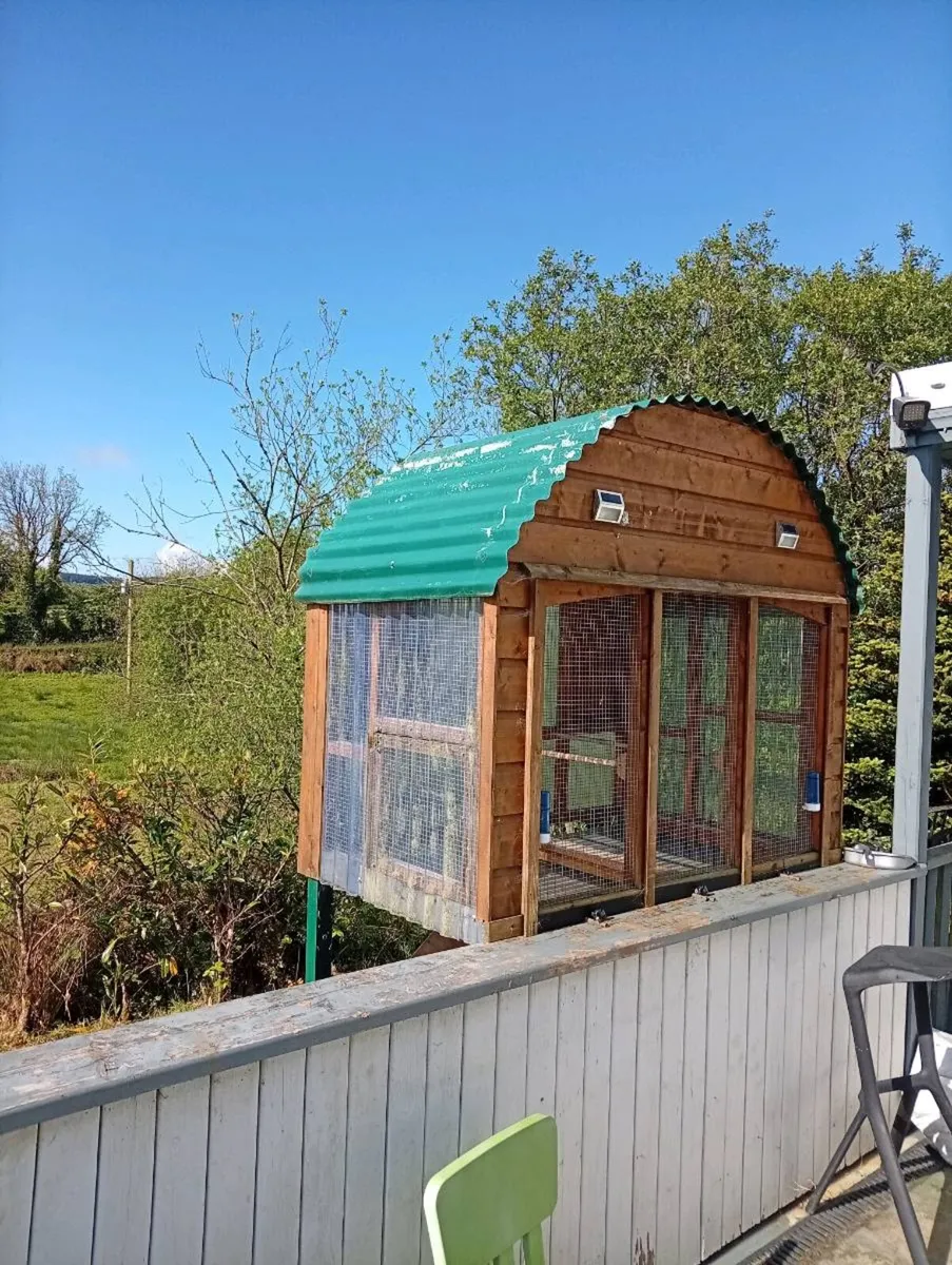 Outdoor bird aviary - Image 1