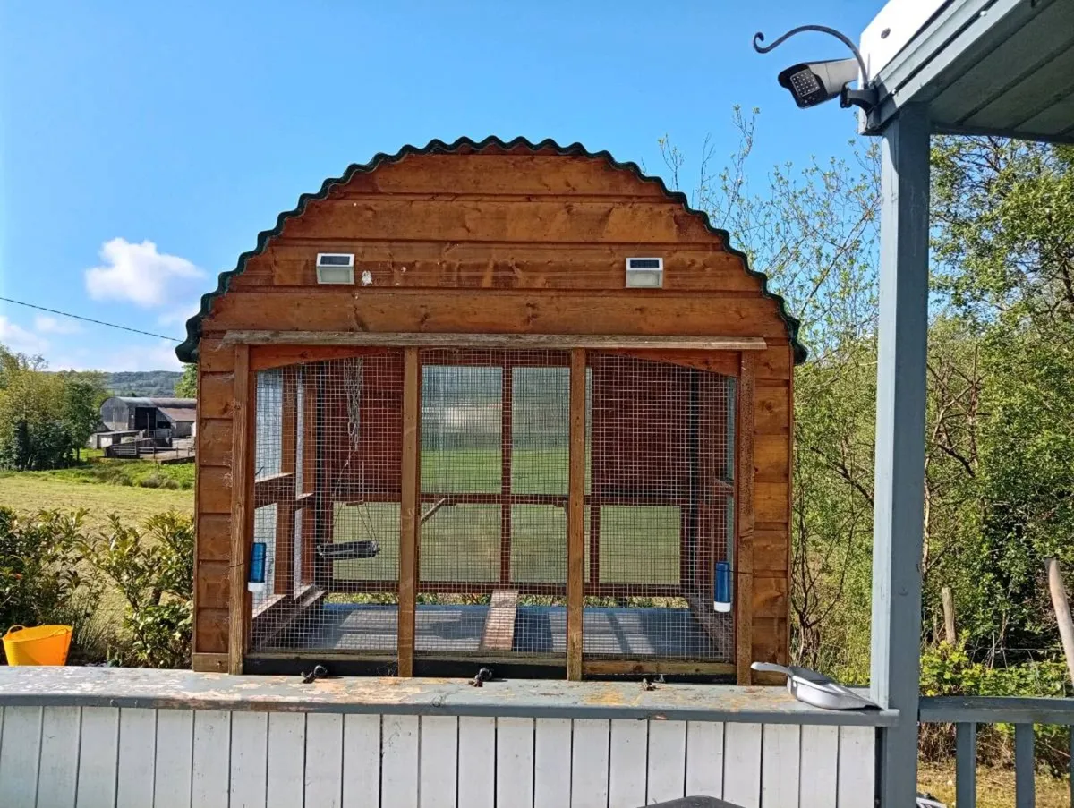 Outdoor bird aviary - Image 2