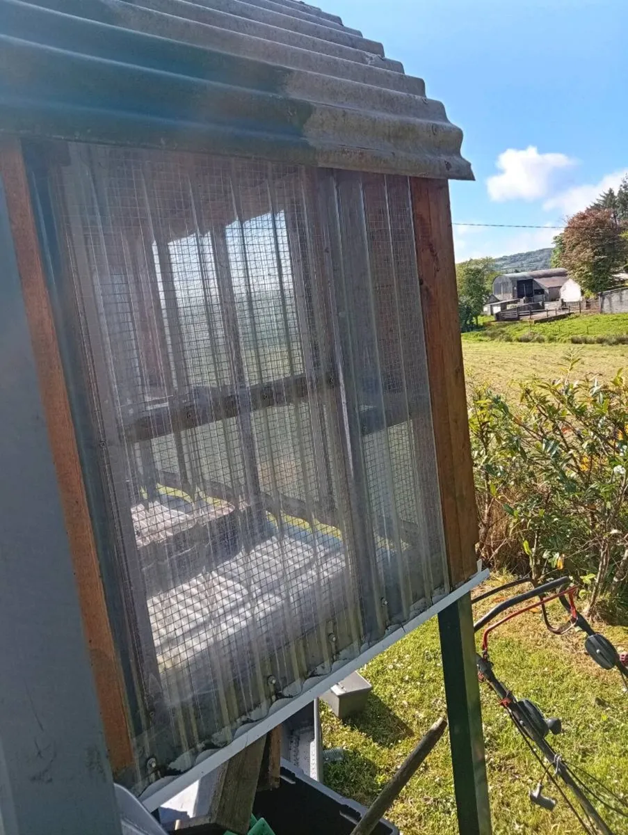 Outdoor bird aviary - Image 3