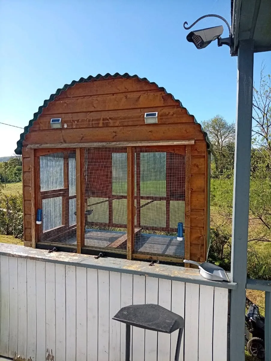 Outdoor bird aviary - Image 4