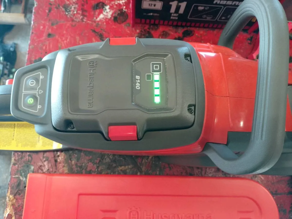 Chainsaw - Image 2