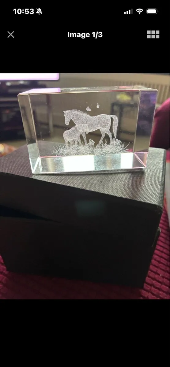 Etched Glass Horse Display - Image 1