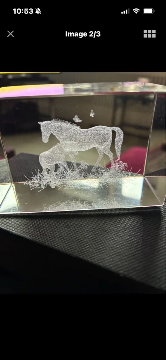 Etched Glass Horse Display - Image 2