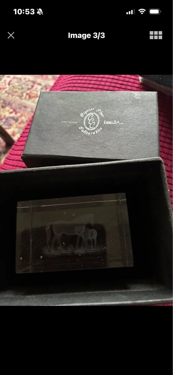 Etched Glass Horse Display - Image 3