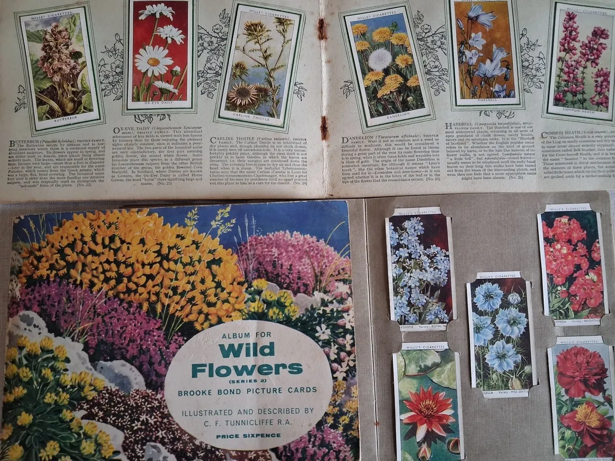 Collectors items - Image 3